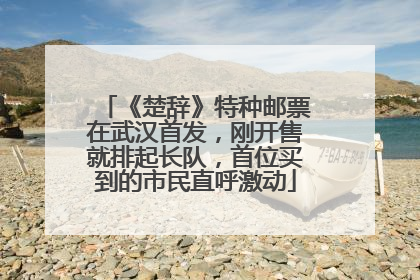 《楚辞》特种邮票在武汉首发，刚开售就排起长队，首位买到的市民直呼激动