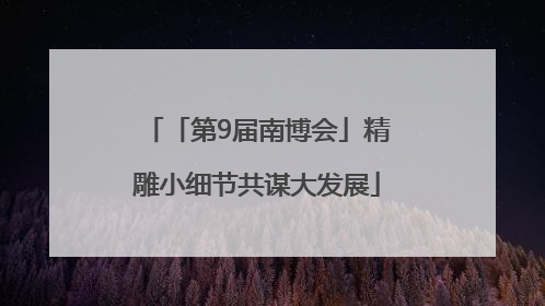 「第9届南博会」精雕小细节共谋大发展