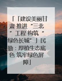 「建设美丽甘肃 推进“三北”工程 构筑“绿色长城”」民勤：厚植生态底色 筑牢绿色屏障