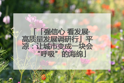 「强信心 看发展·高质量发展调研行」平凉：让城市变成一块会“呼吸”的海绵