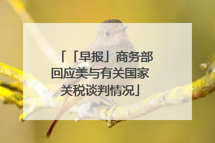 「早报」商务部回应美与有关国家关税谈判情况