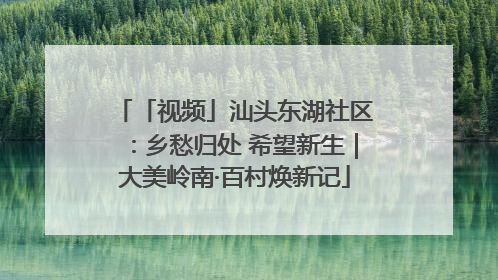 「视频」汕头东湖社区：乡愁归处 希望新生｜大美岭南·百村焕新记