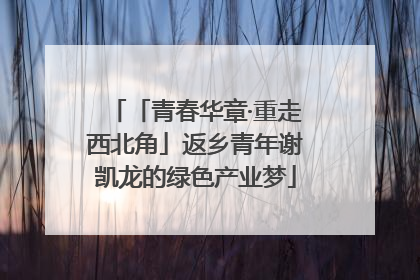 「青春华章·重走西北角」返乡青年谢凯龙的绿色产业梦