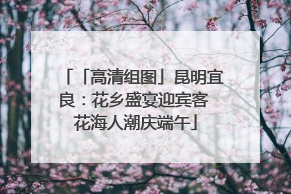 「高清组图」昆明宜良：花乡盛宴迎宾客 花海人潮庆端午