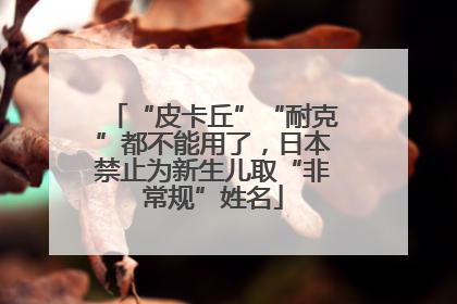 “皮卡丘”“耐克”都不能用了，日本禁止为新生儿取“非常规”姓名