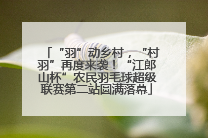 “羽”动乡村，“村羽”再度来袭！“江郎山杯”农民羽毛球超级联赛第二站圆满落幕