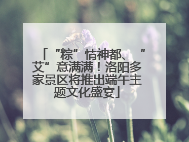 “粽”情神都、“艾”意满满！洛阳多家景区将推出端午主题文化盛宴