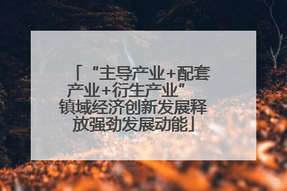 “主导产业+配套产业+衍生产业” 镇域经济创新发展释放强劲发展动能
