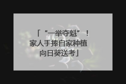 “一举夺魁”！家人手捧自家种植向日葵送考