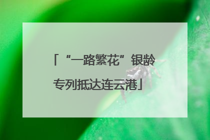 “一路繁花”银龄专列抵达连云港