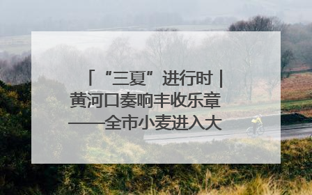 “三夏”进行时｜黄河口奏响丰收乐章——全市小麦进入大面积收获高峰期
