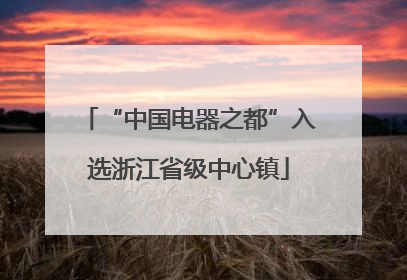 “中国电器之都”入选浙江省级中心镇