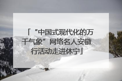 “中国式现代化的万千气象”网络名人安徽行活动走进休宁