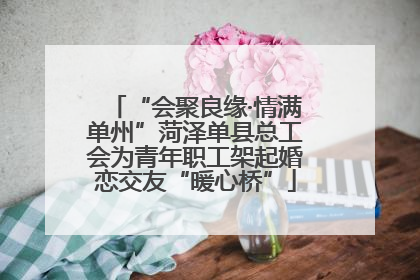 “会聚良缘·情满单州”菏泽单县总工会为青年职工架起婚恋交友“暖心桥”