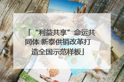 “利益共享”命运共同体 新泰供销改革打造全国示范样板