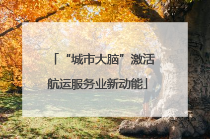 “城市大脑”激活航运服务业新动能