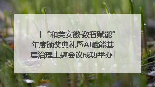 “和美安徽·数智赋能”年度颁奖典礼暨AI赋能基层治理主题会议成功举办