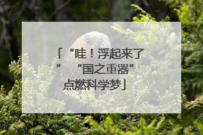 “哇！浮起来了” “国之重器”点燃科学梦