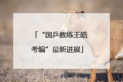 “国乒教练王皓考编”最新进展