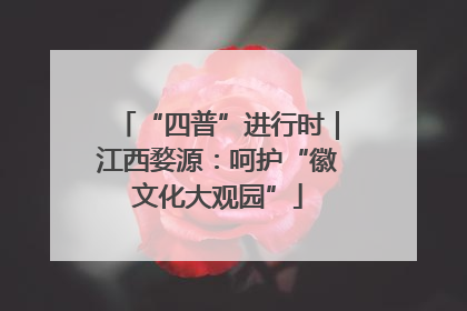 “四普”进行时｜江西婺源：呵护“徽文化大观园”