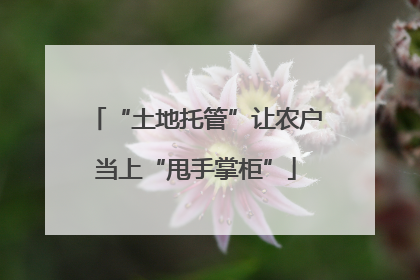 “土地托管”让农户当上“甩手掌柜”