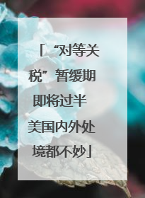 “对等关税”暂缓期即将过半 美国内外处境都不妙