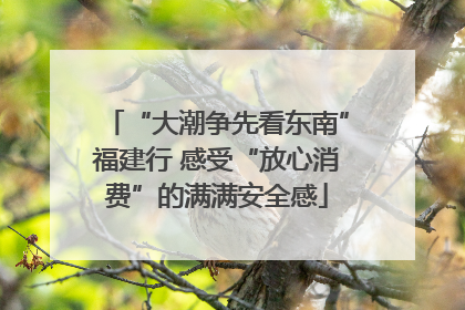“大潮争先看东南”福建行 感受“放心消费”的满满安全感