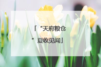 “天府粮仓”夏收见闻
