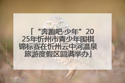 “奔跑吧·少年”2025年忻州市青少年围棋锦标赛在忻州云中河温泉旅游度假区圆满举办