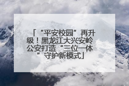 “平安校园”再升级！黑龙江大兴安岭公安打造“三位一体”守护新模式