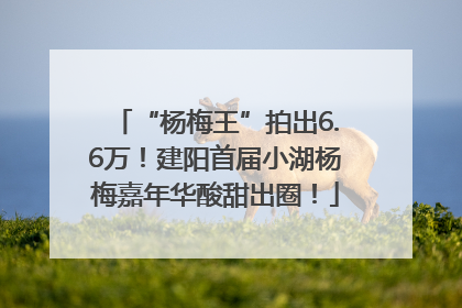 “杨梅王”拍出6.6万！建阳首届小湖杨梅嘉年华酸甜出圈！