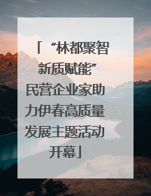 “林都聚智 新质赋能”民营企业家助力伊春高质量发展主题活动开幕