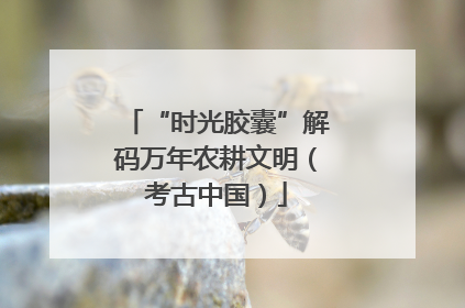“时光胶囊”解码万年农耕文明（考古中国）