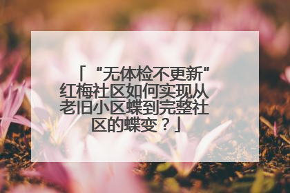 “无体检不更新”红梅社区如何实现从老旧小区蝶到完整社区的蝶变？