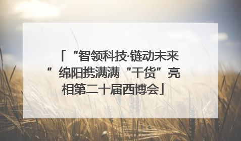 “智领科技·链动未来”绵阳携满满“干货”亮相第二十届西博会