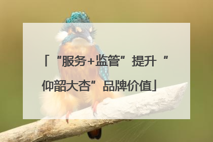“服务+监管”提升“仰韶大杏”品牌价值