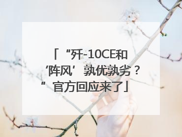 “歼-10CE和‘阵风’孰优孰劣？”官方回应来了