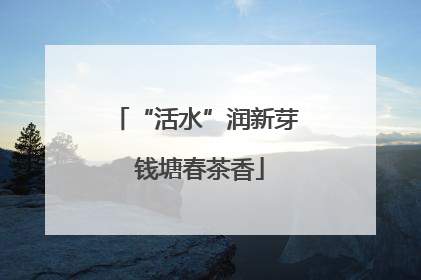 “活水”润新芽 钱塘春茶香