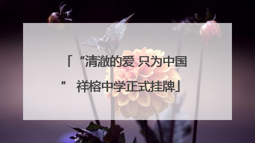 “清澈的爱 只为中国” 祥榕中学正式挂牌