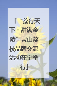 “荔行天下・甜满金陵”灵山荔枝品牌交流活动在宁举行