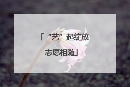 “艺”起绽放 志愿相随