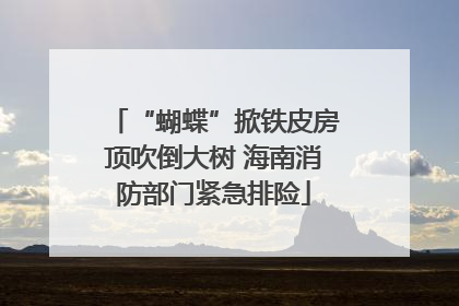 “蝴蝶”掀铁皮房顶吹倒大树 海南消防部门紧急排险