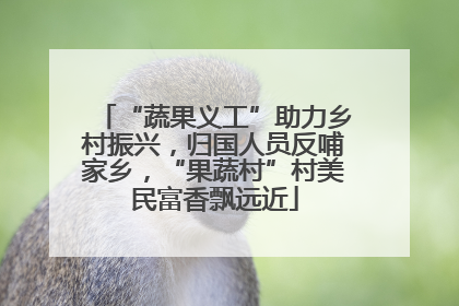 “蔬果义工”助力乡村振兴，归国人员反哺家乡，“果蔬村”村美民富香飘远近