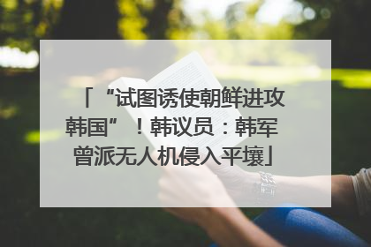 “试图诱使朝鲜进攻韩国”！韩议员：韩军曾派无人机侵入平壤