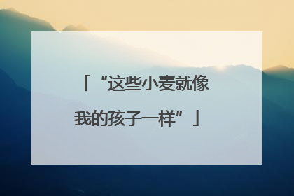 “这些小麦就像我的孩子一样”