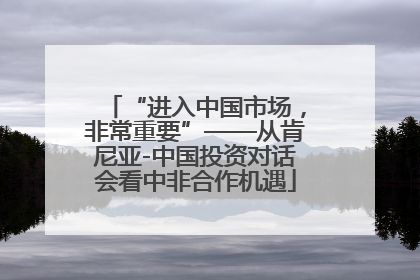 “进入中国市场，非常重要”——从肯尼亚-中国投资对话会看中非合作机遇
