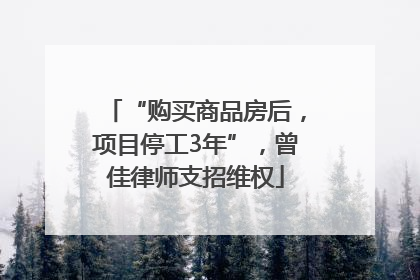 “购买商品房后，项目停工3年”，曾佳律师支招维权
