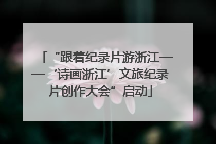 “跟着纪录片游浙江——‘诗画浙江’文旅纪录片创作大会”启动