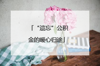 “遗忘”公积金的暖心归途