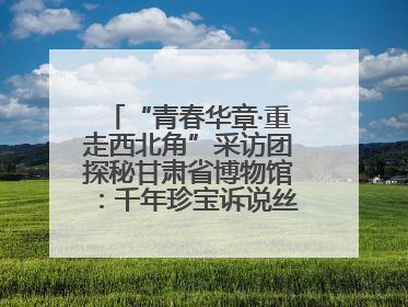 “青春华章·重走西北角”采访团探秘甘肃省博物馆：千年珍宝诉说丝路辉煌